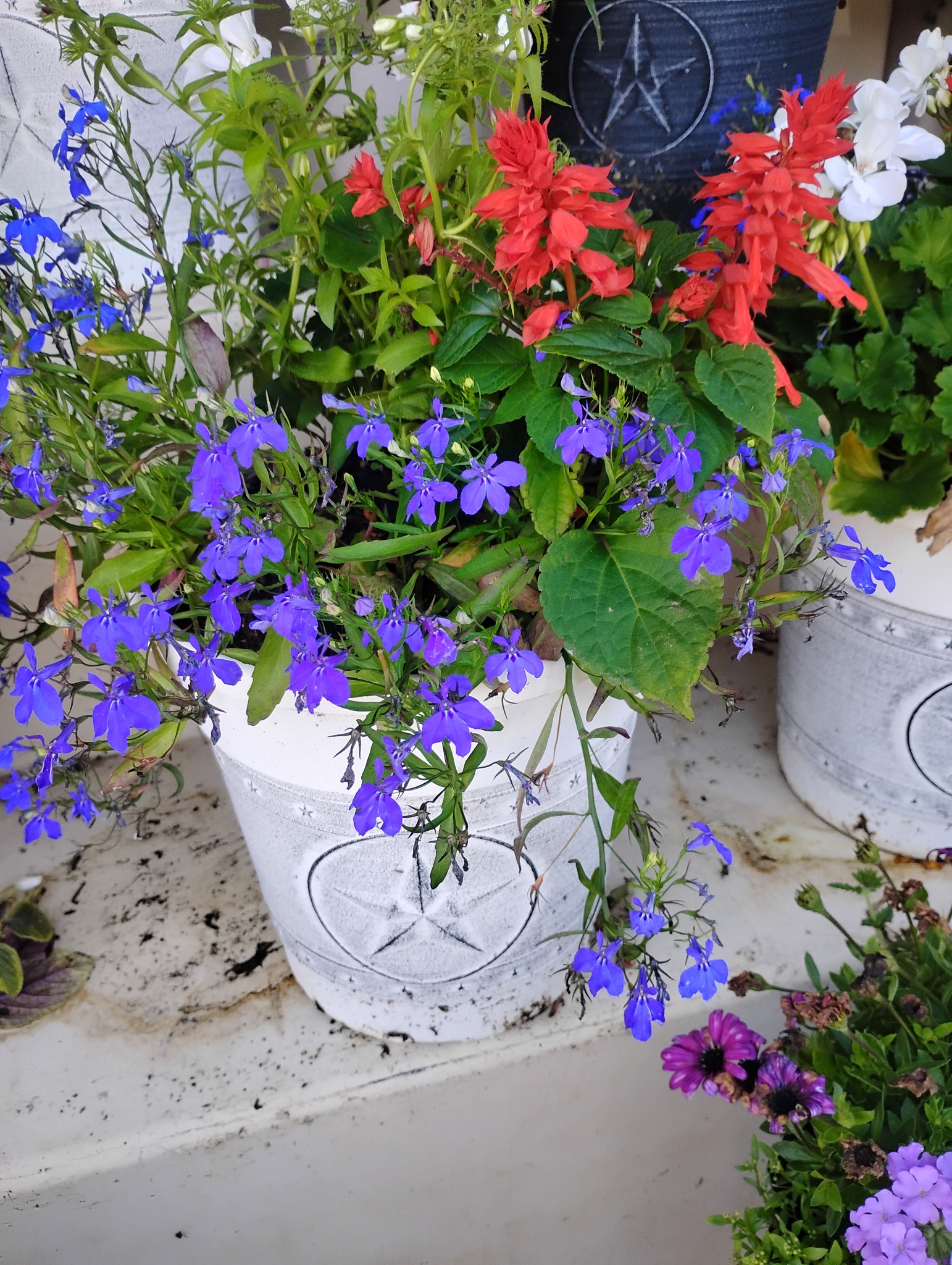 Fresh Flowers & Plants